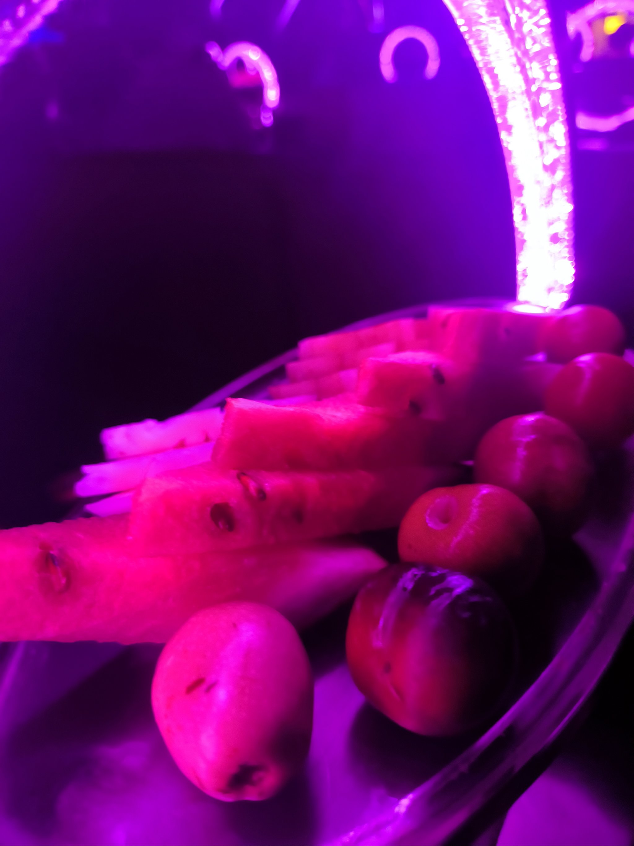 昭通商务KTV高低端对比-大关县ktv预定